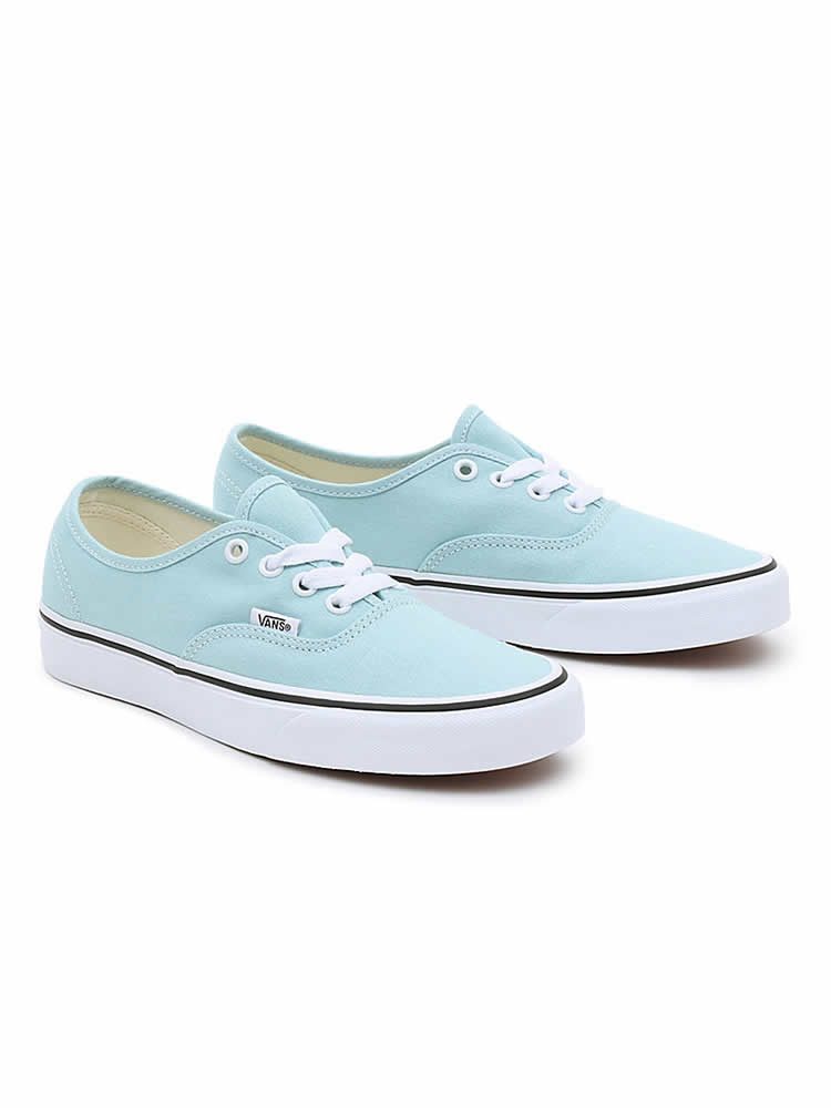 VANS AUTHENTIC THEORY CANAL BLUE