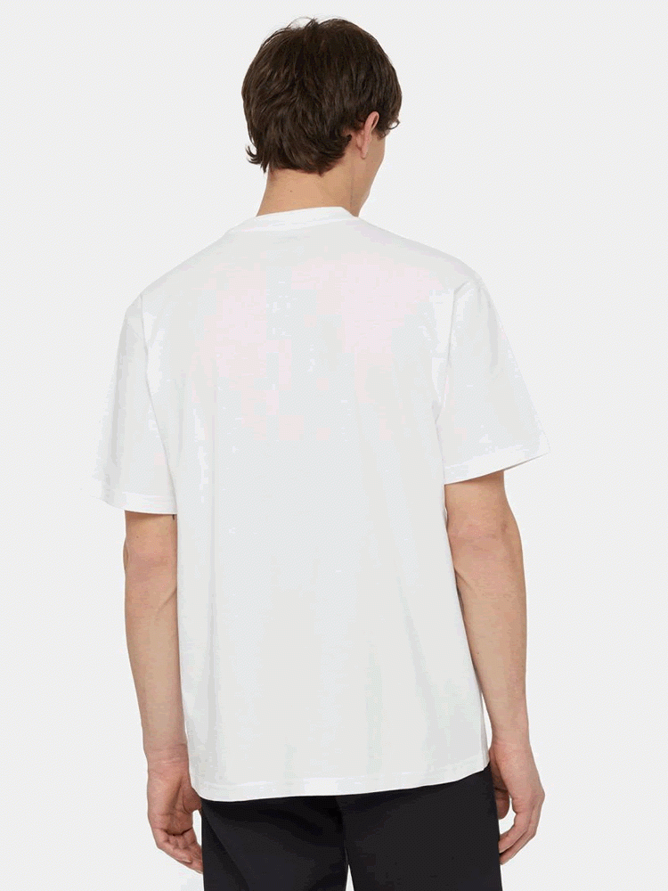 DICKIES TIMBERVILLE TEE SS WHITE