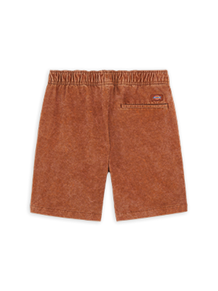 DICKIES CHASE CITY SHORT MOCHA BISQUE